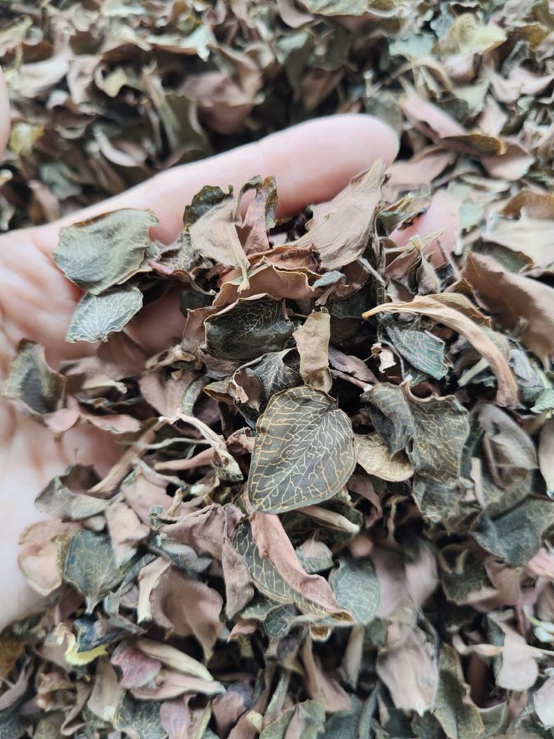本地红霞金线莲叶子纯叶片可泡茶炖汤
