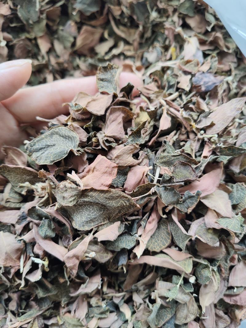 本地红霞金线莲叶子纯叶片可泡茶炖汤