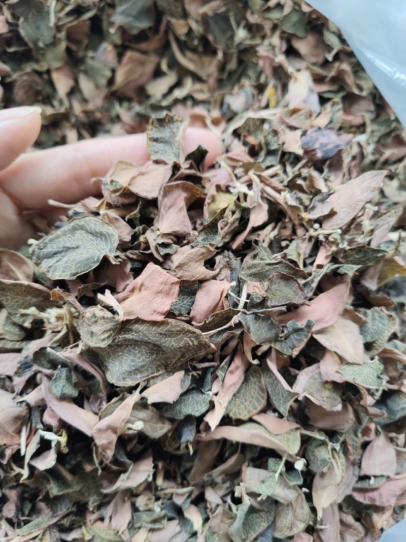 本地红霞金线莲叶子纯叶片可泡茶炖汤