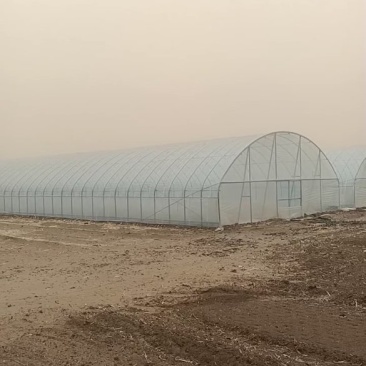 温室大棚蔬菜种植大棚花卉大棚全国发货包建