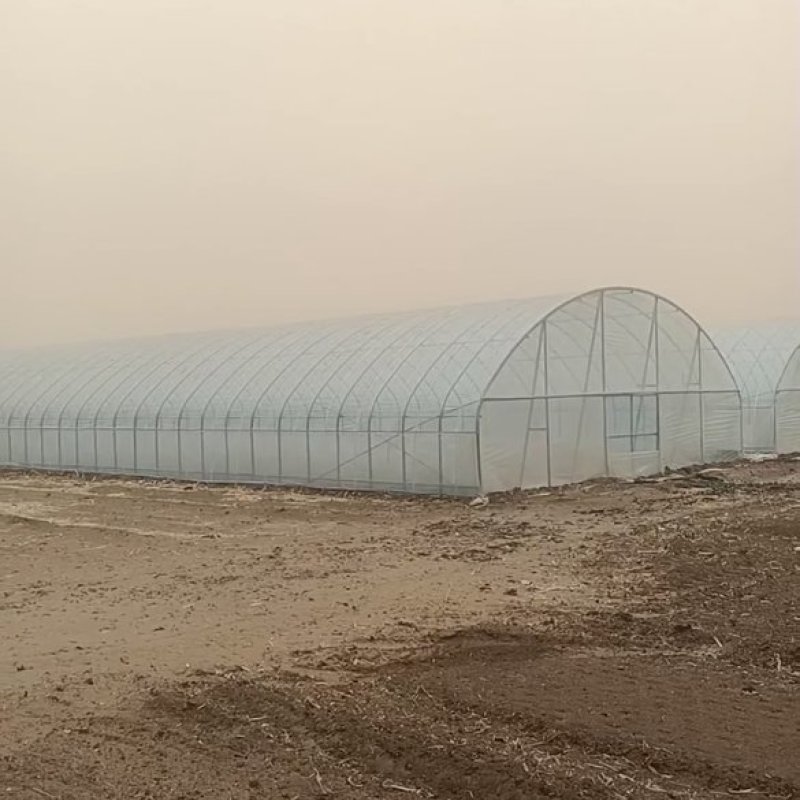 温室大棚蔬菜种植大棚花卉大棚全国发货包建