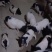 [热卖]新疆五家渠市巴马香猪活猪基地直发全国发货