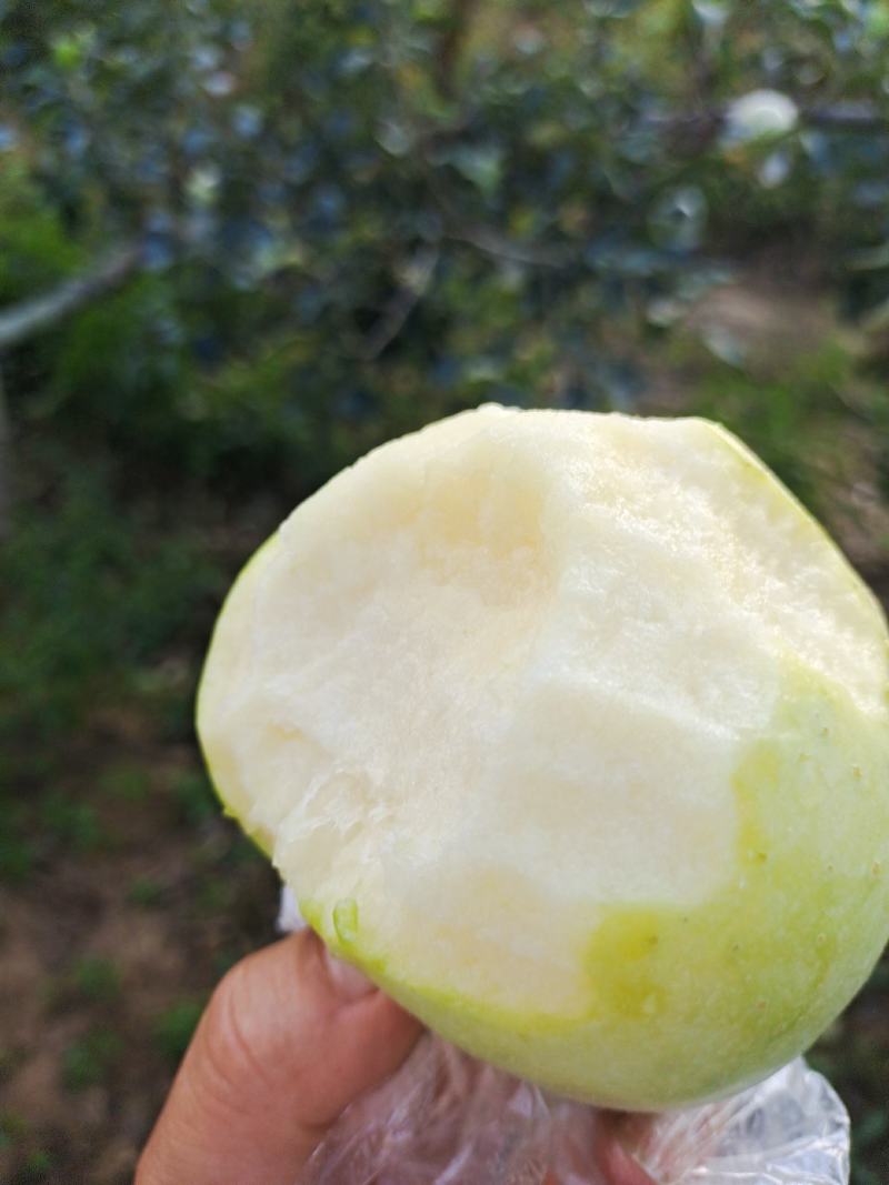 明月青森水蜜桃苹果纯甜无酸头