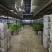 基地直达，自有种植基地，冷库，加工车间，常年无间断供应