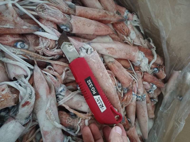 船冻鱿鱼、不定装灯光船货、10~12条规格鲜度好