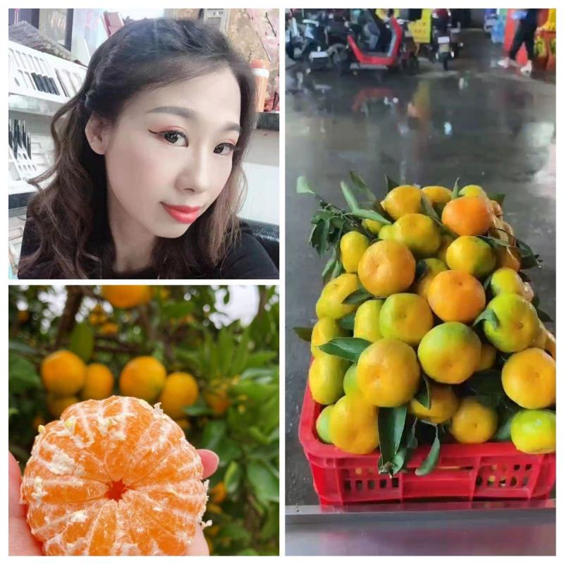 湖北高山特早蜜橘，柑橘，货源充足，大量供应，随行就市！