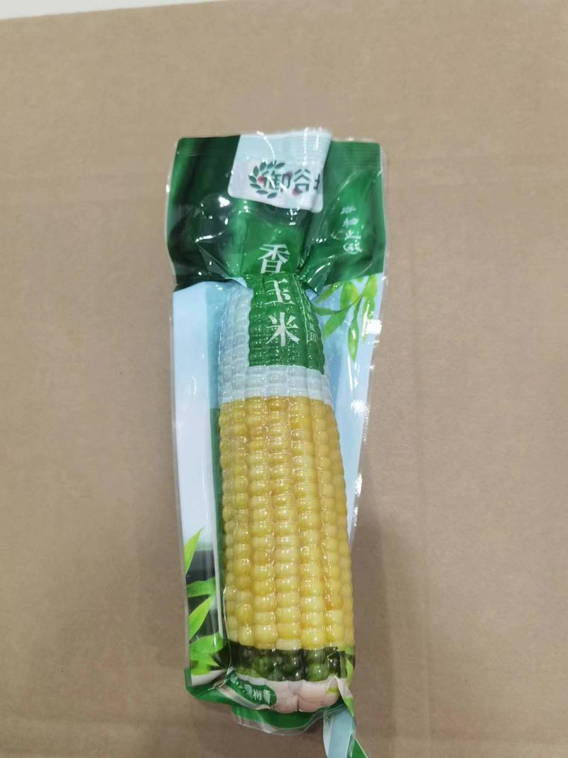 精品黄糯玉米真空包装市场批发商超电商社区团购厂家直供