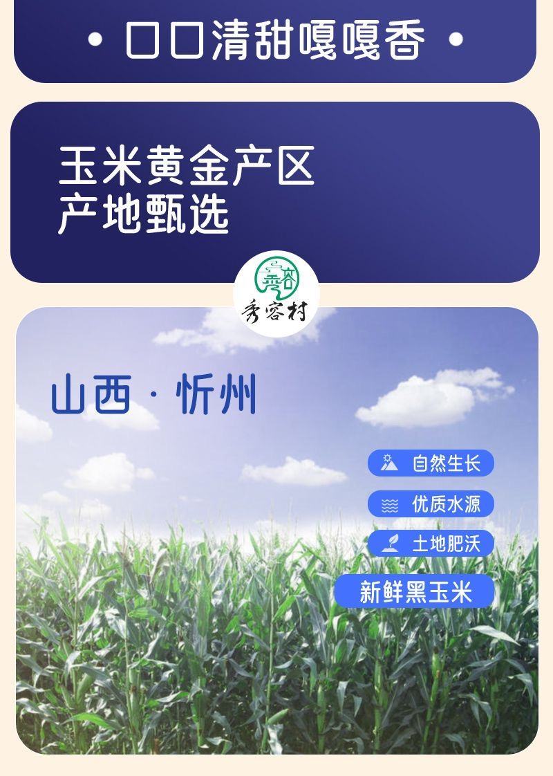 山西忻州黑糯玉米礼盒