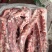 纯干羊蝎子羊肉