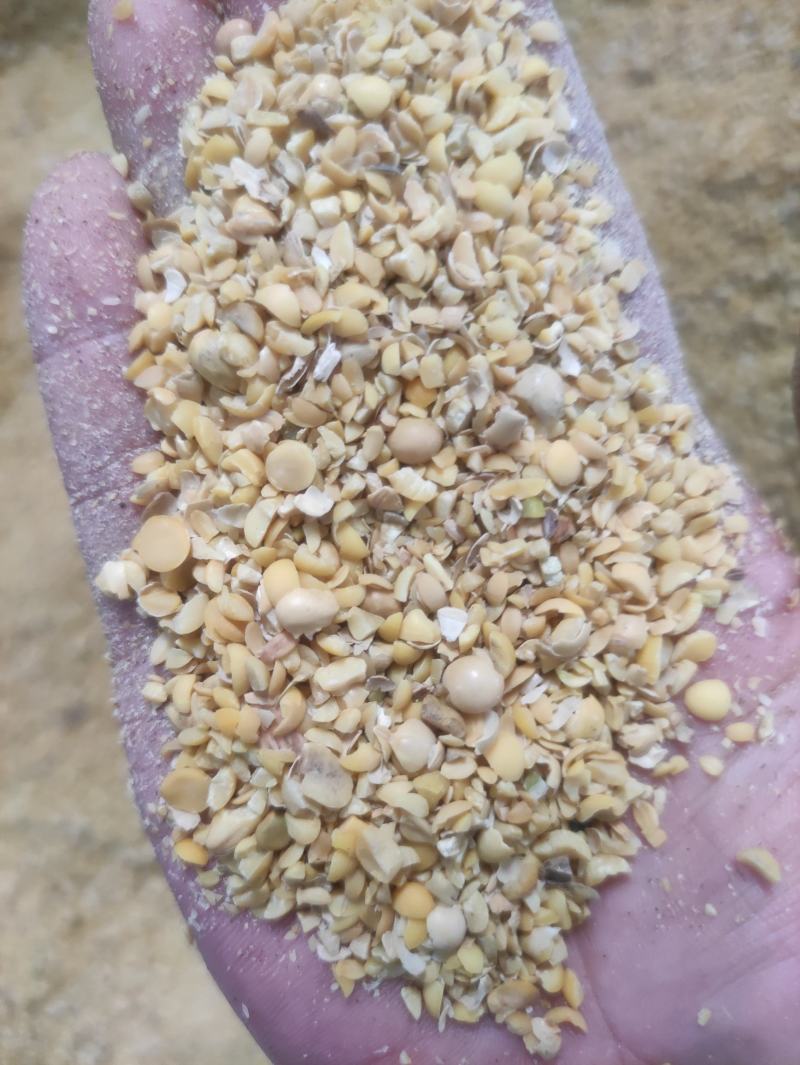 碎大豆种植肥料高蛋白充足有ji质适合果蔬蘑菇施肥