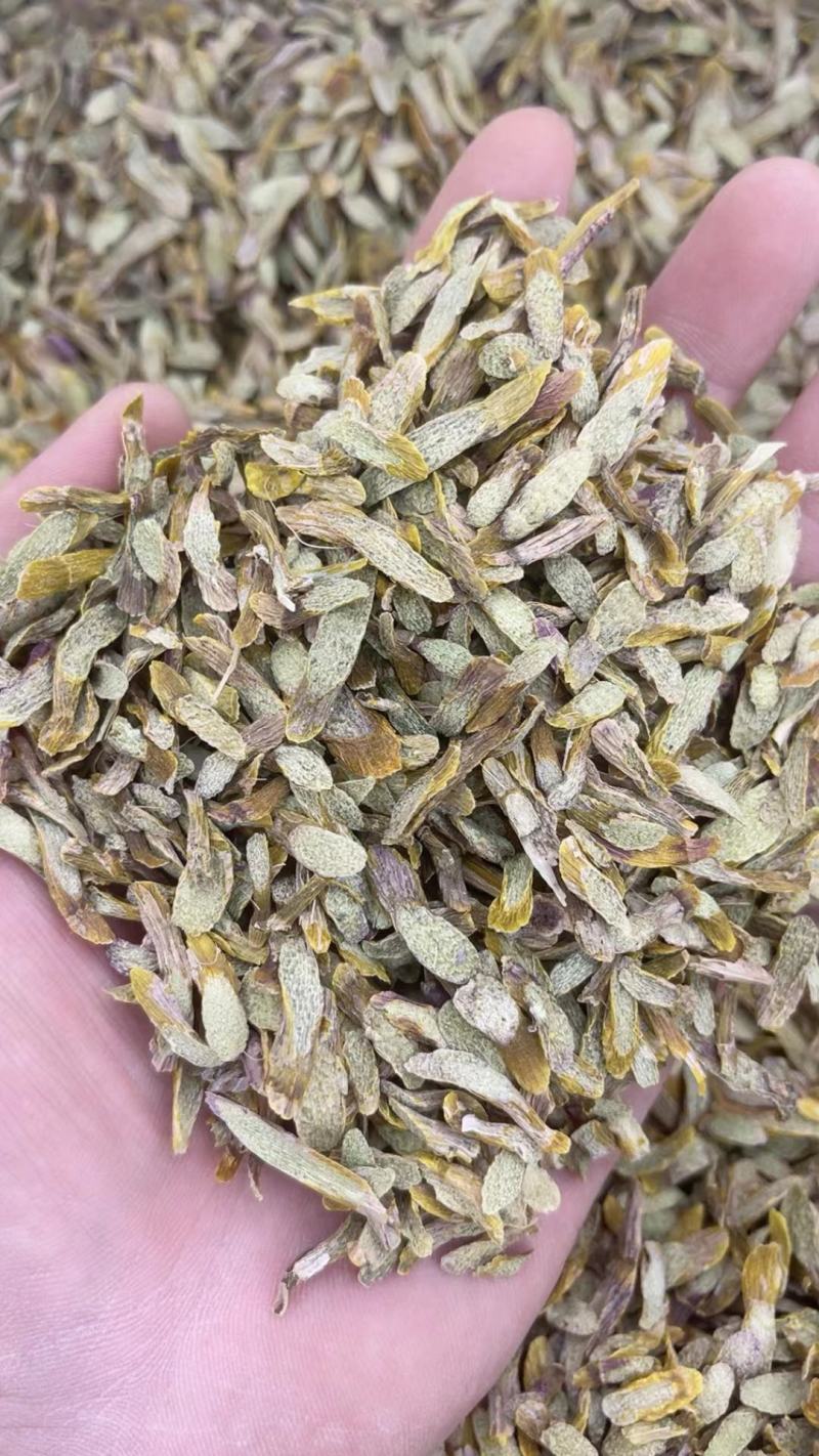 正宗云南铁皮石斛切片枫斗切片铁皮石斛干片精选仿野生鲜条石