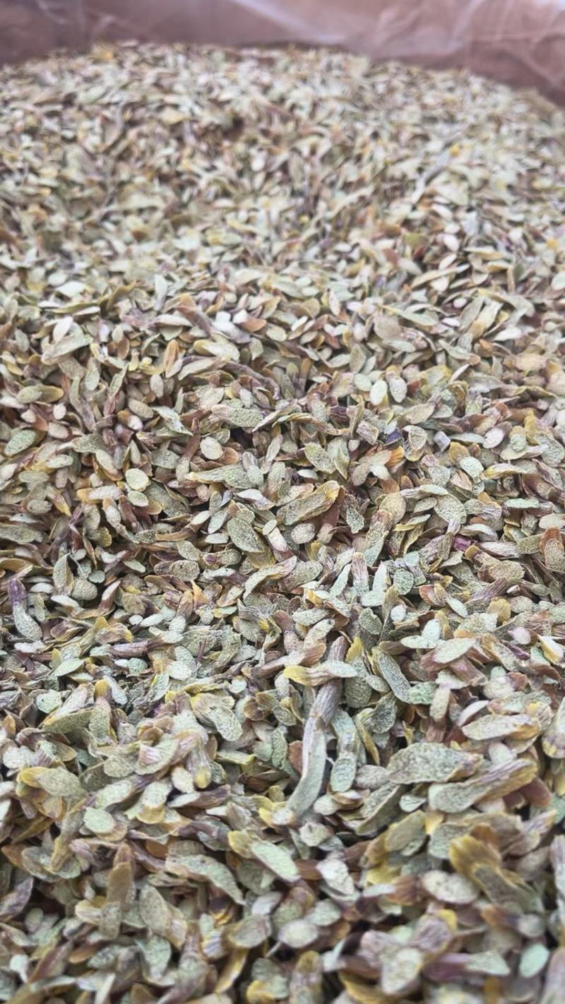 正宗云南铁皮石斛切片枫斗切片铁皮石斛干片精选仿野生鲜条石