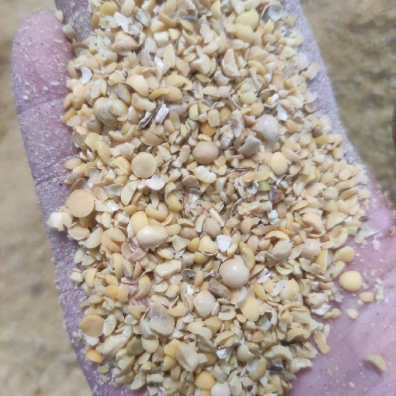 碎大豆种植肥料高蛋白充足有ji质适合果蔬蘑菇施肥