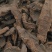 【生地】1000克实物拍摄大货供应产地货源