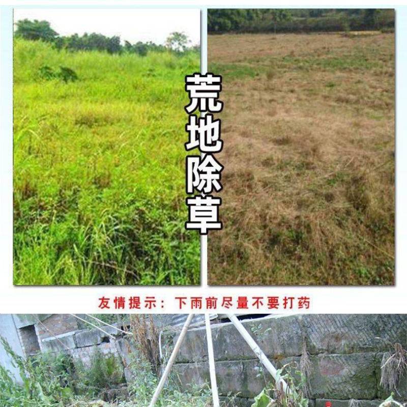 惠光春多多41%草甘膦异丙胺盐果园茶园荒地等烂根连根