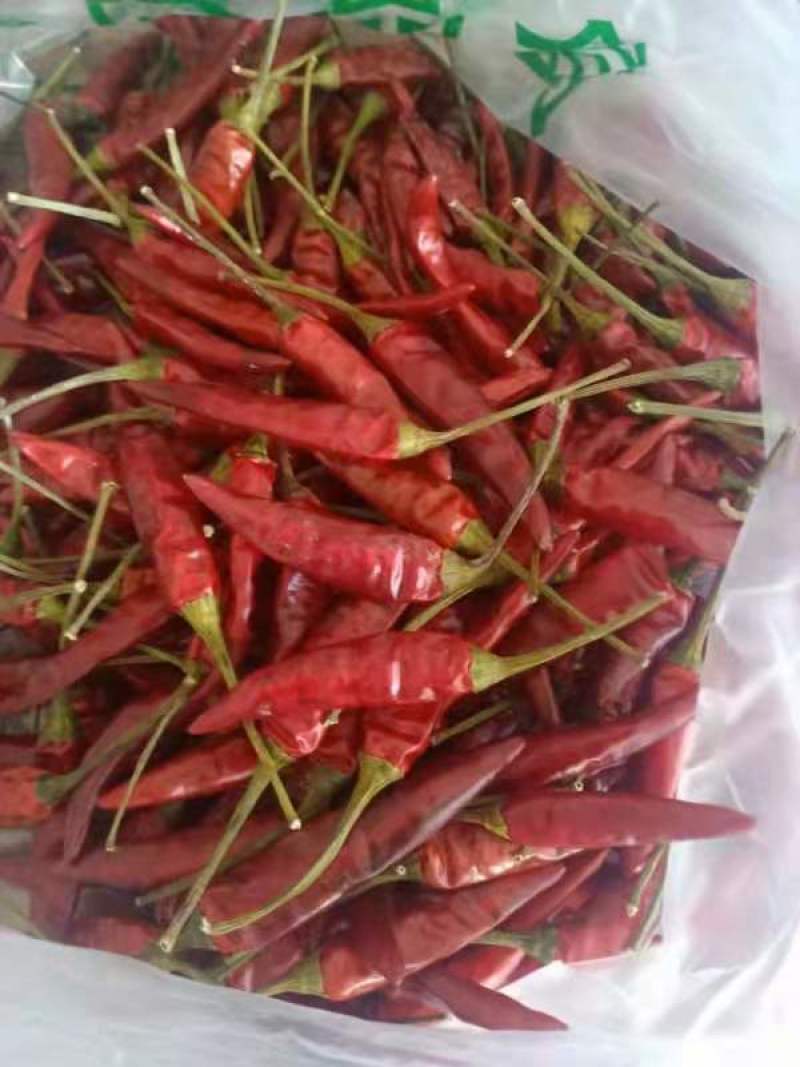 贵州小辣椒精品大量上市可接工厂市场电商食堂可来电