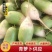 开封精品青萝卜产地直发品质保证一手货源量大从优