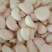 精品蒜米质量好价格低货真价实欢迎对接合作