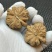 文玩核桃