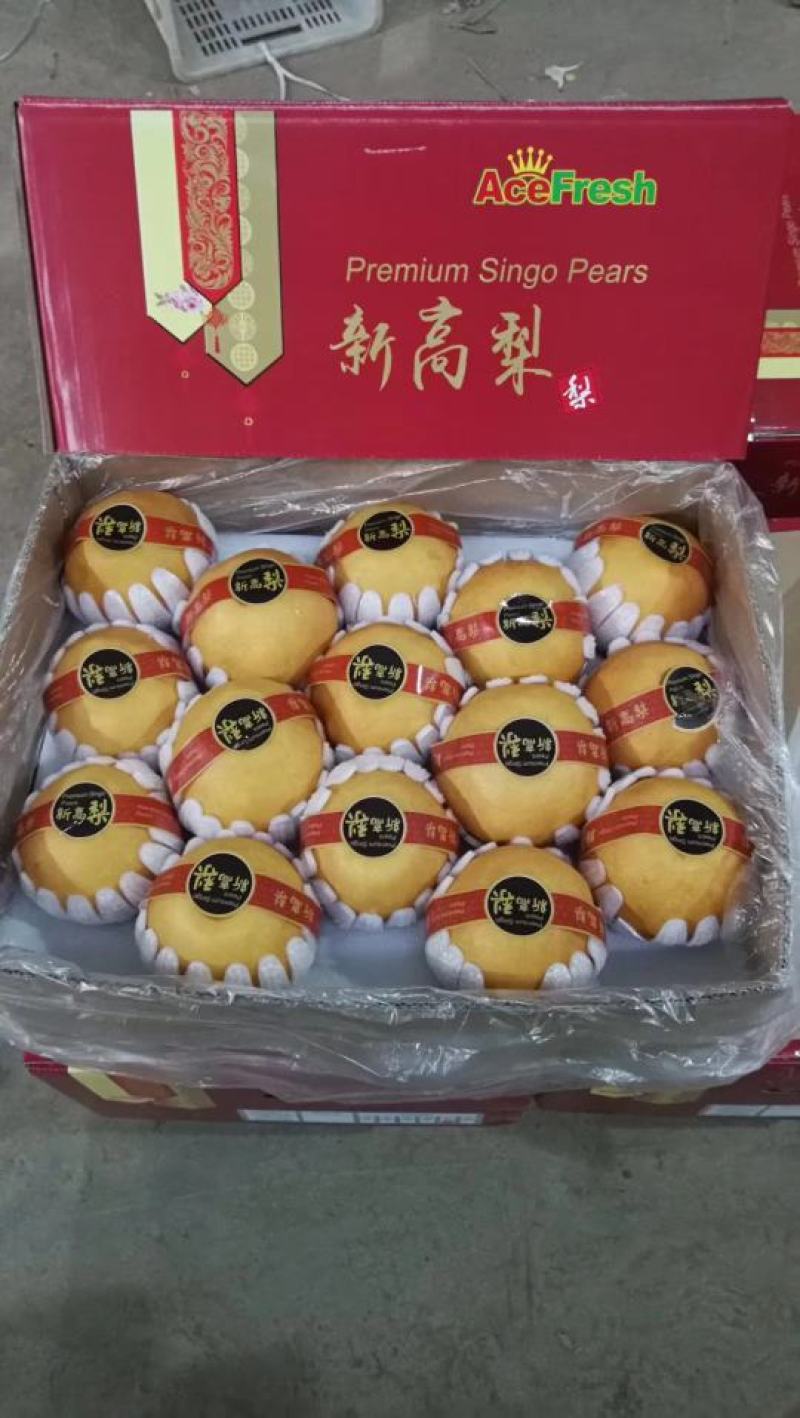 山东晚秋黄梨货源充足量大从优保质保量对接商超市场