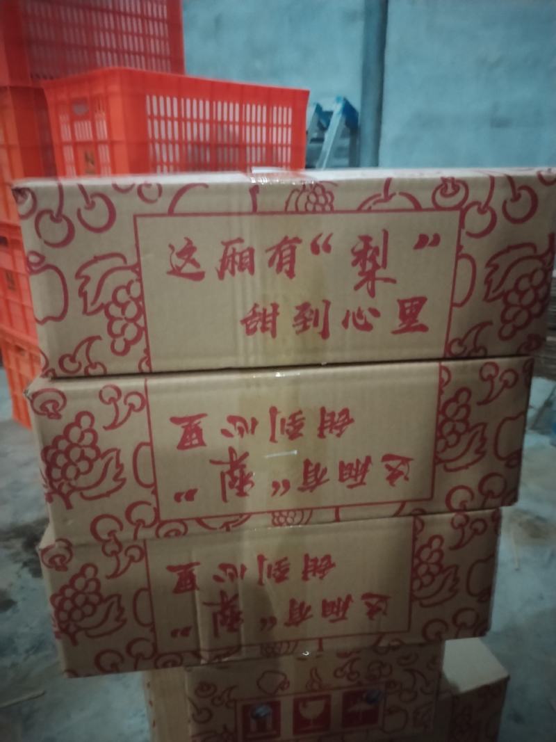 山东晚秋黄梨货源充足量大从优保质保量对接商超市场