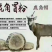 鹿角帽粉1kg1200元