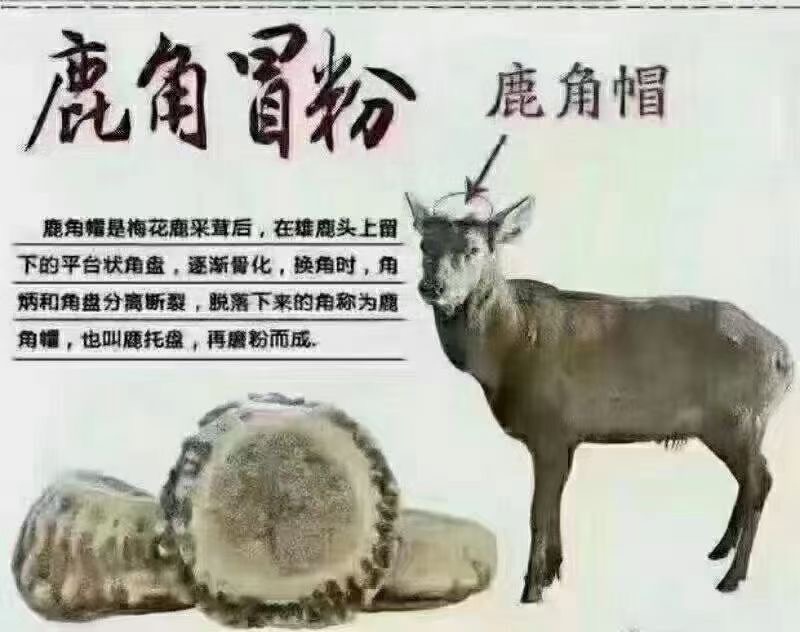 鹿角帽粉1kg1200元