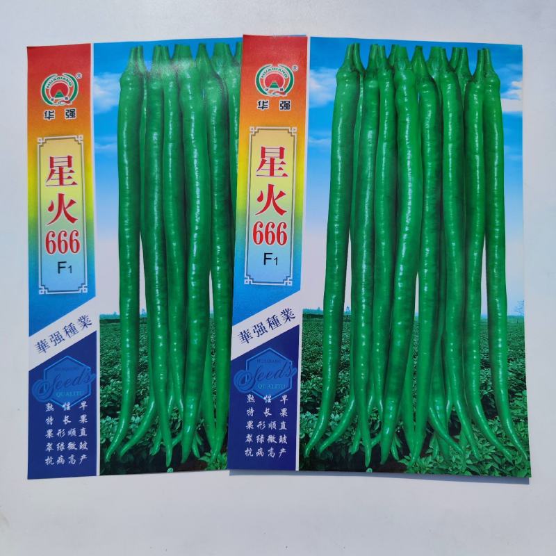 星火666线椒种子早熟品种杂交一代种子