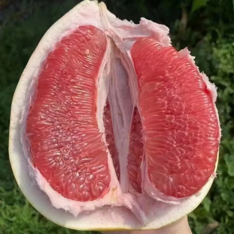 【蜜柚】广西精品蜜柚红心柚皮薄肉甜产地直发欢迎咨询