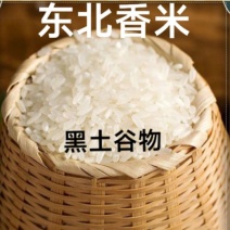 东北长粒香大米东北黑土地长出好大米口感香软糯好大米十斤装