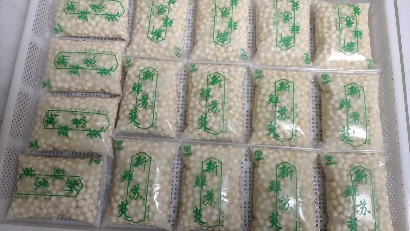 苏州芡实米鸡头米新鲜供应产地直供诚信经营品质保证