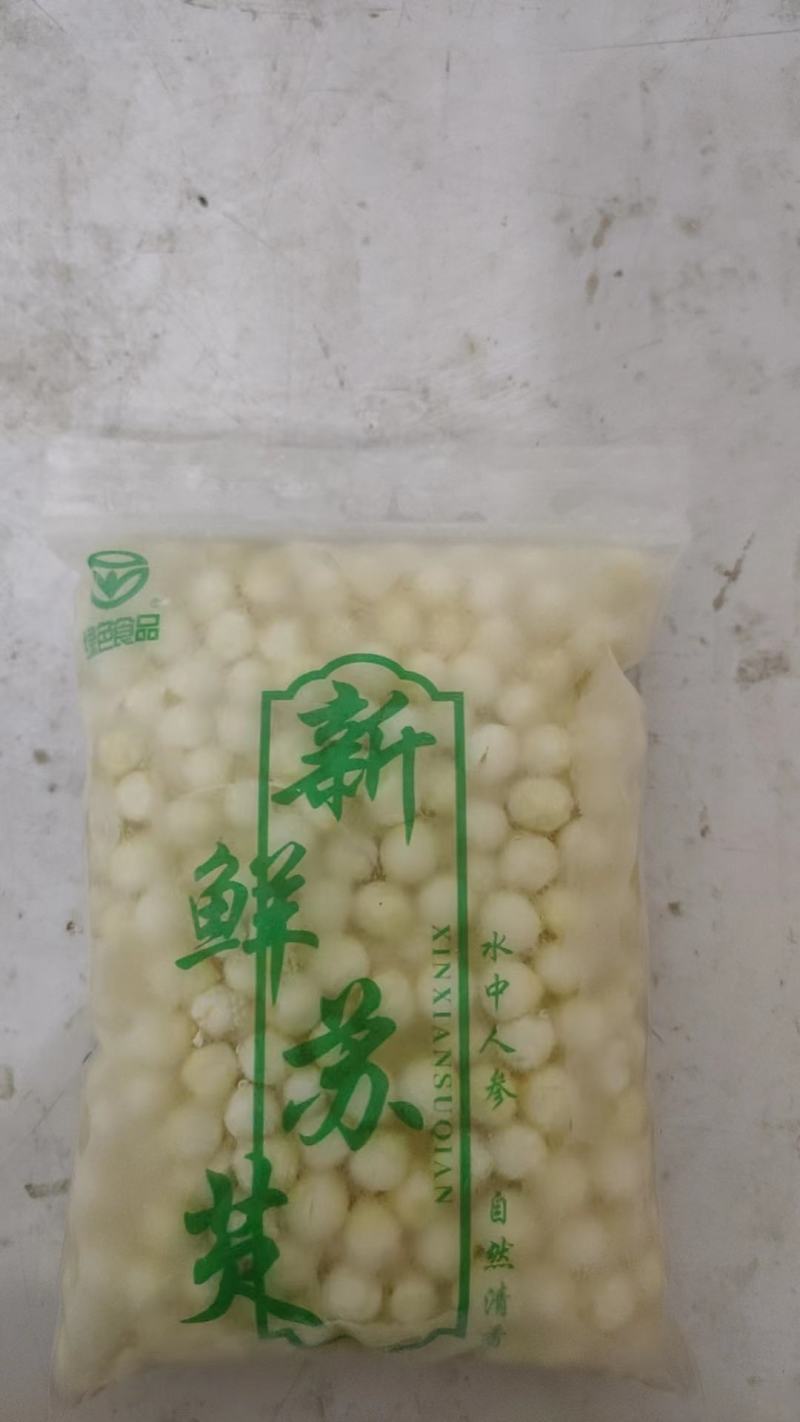 苏州芡实米鸡头米新鲜供应产地直供诚信经营品质保证