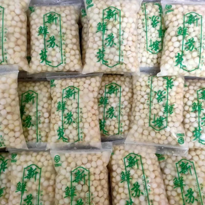 精品芡实米鸡头米大量供应颗粒饱满常年经营品质保证