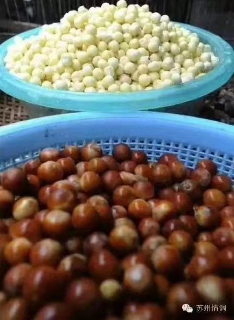 精品芡实米鸡头米大量供应颗粒饱满常年经营品质保证