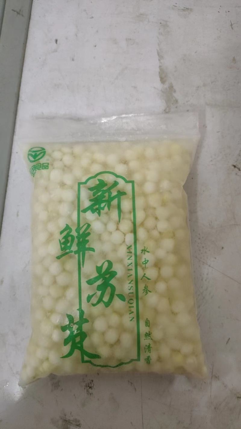 精品芡实米鸡头米大量供应颗粒饱满常年经营品质保证