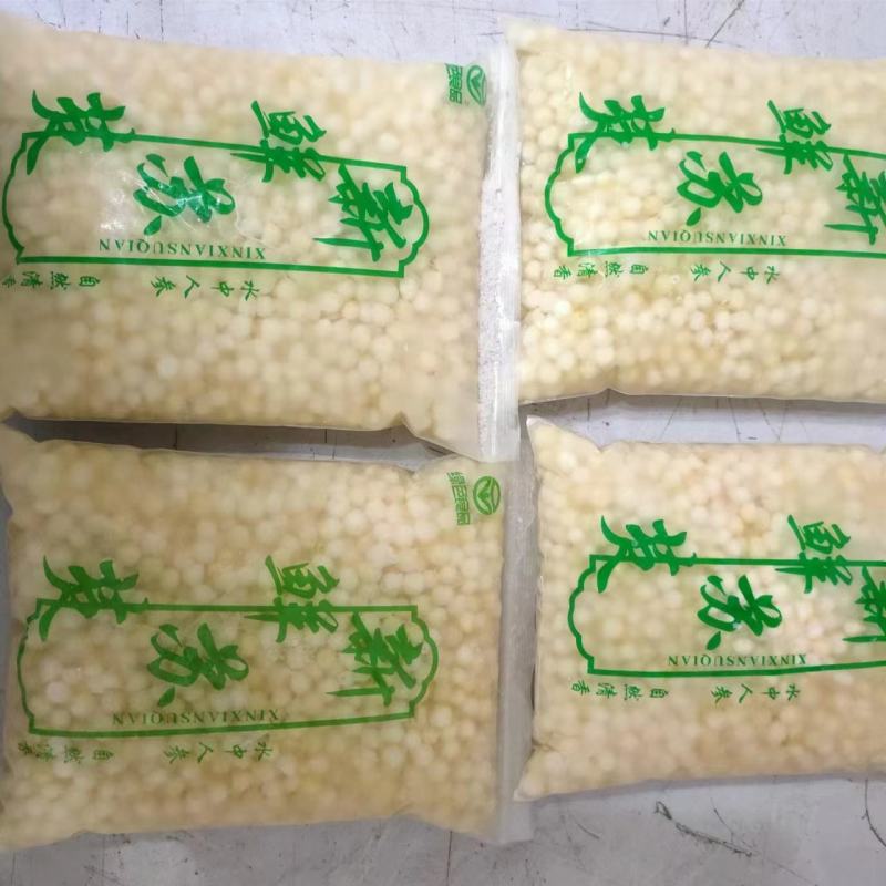 精品芡实米鸡头米大量供应颗粒饱满常年经营品质保证