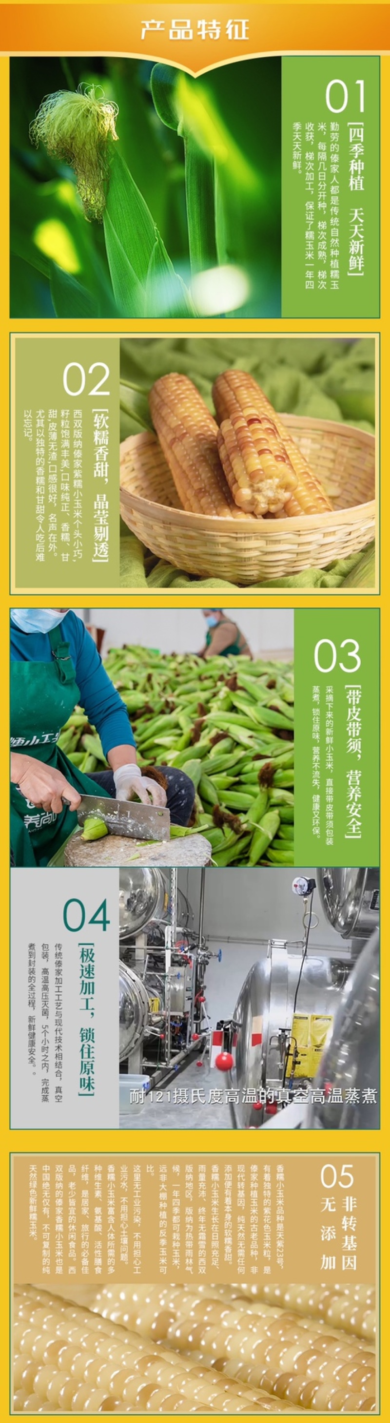 西双版纳花糯玉米，基地直发，商超团购真空包装