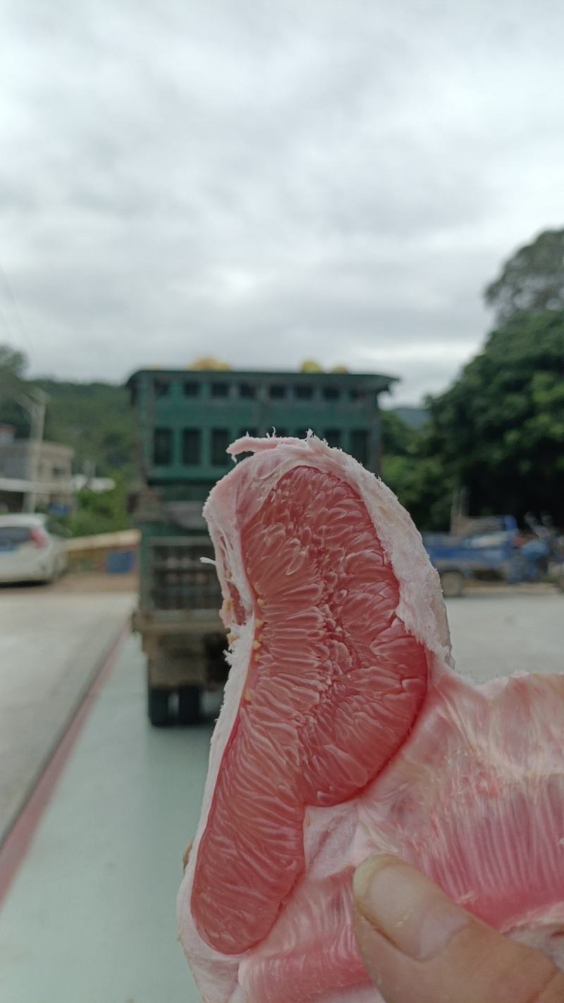 **好的柚子，质量有保证，不好退全款