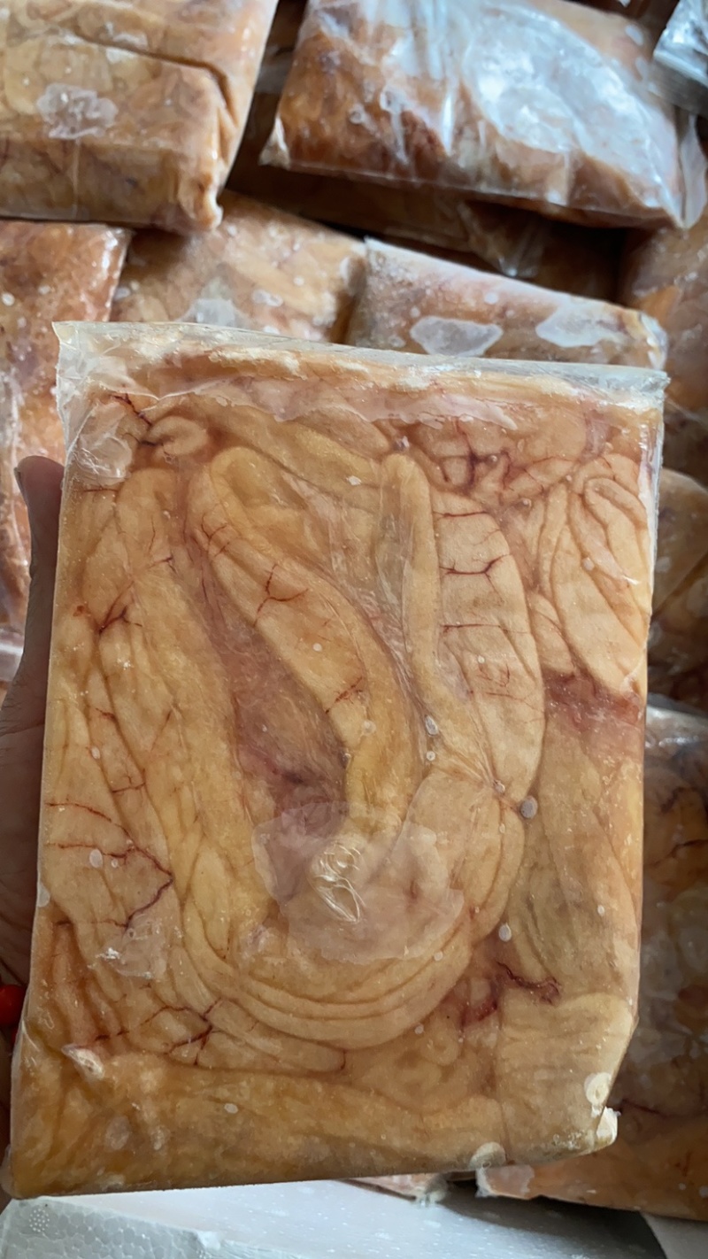 鱼籽黄花鱼鱼籽鱼卵黄鱼籽火锅食材