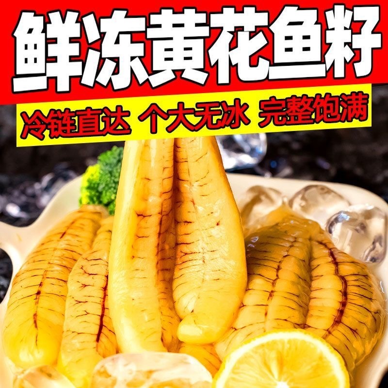 鱼籽黄花鱼鱼籽鱼卵黄鱼籽火锅食材