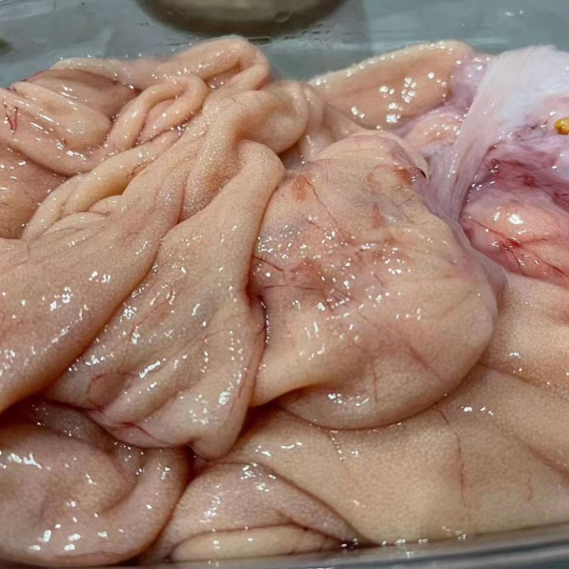 鱼籽黄花鱼鱼籽鱼卵黄鱼籽火锅食材