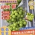 陕西葡萄精品阳光玫瑰货源充足量大从优可供商超