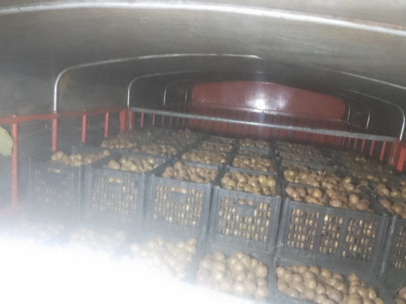 眉县太白山正宗徐香猕猴桃