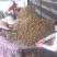 眉县太白山正宗徐香猕猴桃