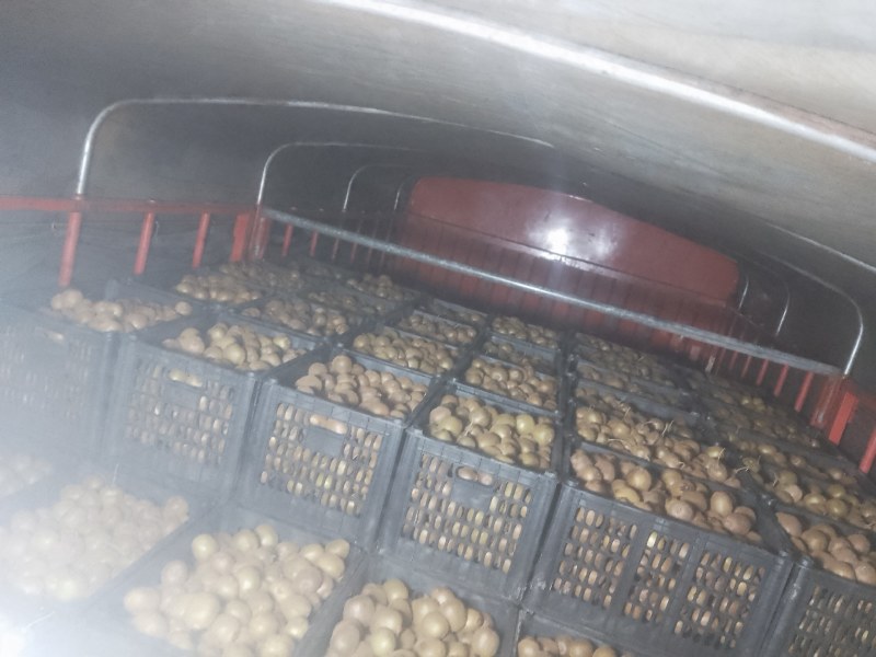 眉县太白山正宗徐香猕猴桃