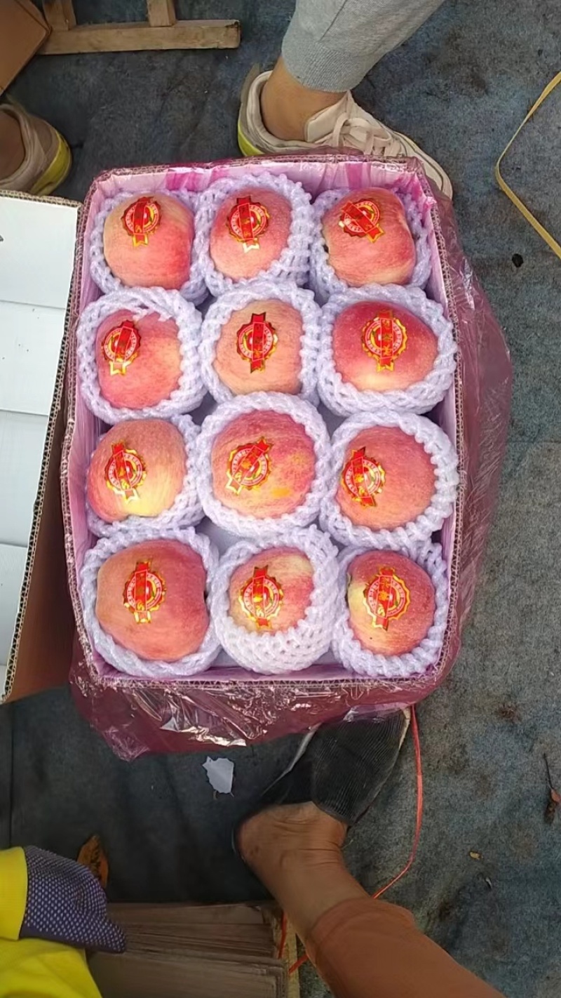 红星苹果