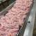 新鲜鲷鱼片冷冻料理食材冷冻海鲜生鱼片大份健身食材刺身