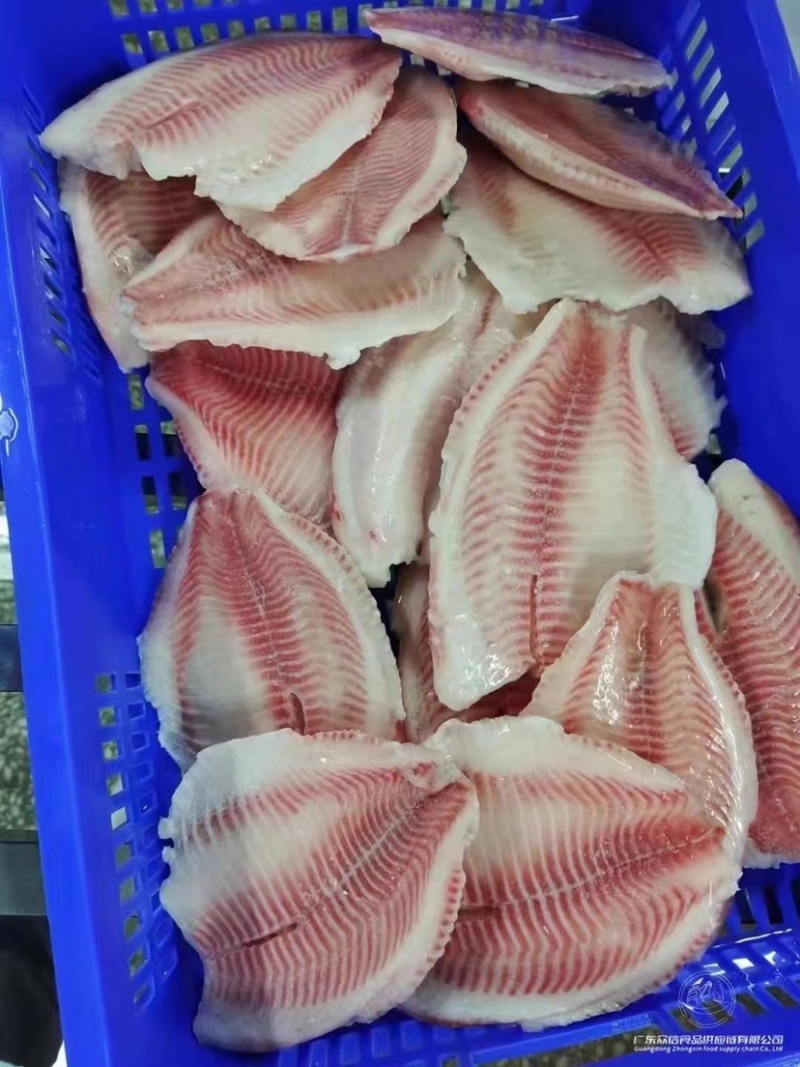 新鲜鲷鱼片冷冻料理食材冷冻海鲜生鱼片大份健身食材刺身