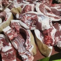 [热卖]贵州遵义藏香猪肉猪肉厂家直发藏香猪肉
