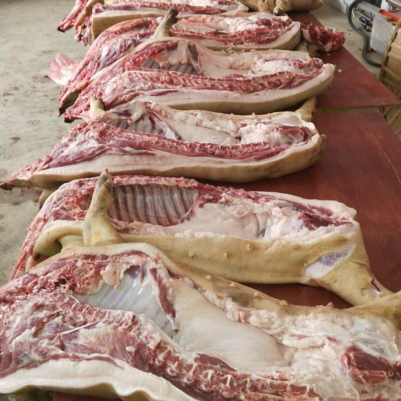 [热卖]贵州遵义藏香猪肉猪肉厂家直发藏香猪肉